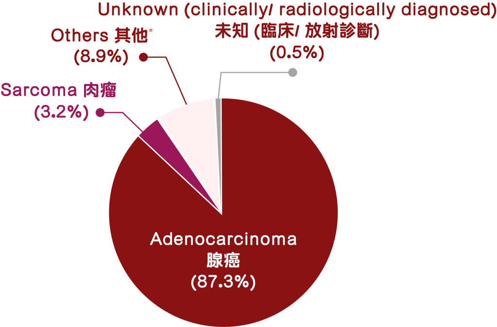 Adenocarcinoma 腺癌(87.3%)
Sarcoma 肉瘤 (3.2%)
Others 其他 (8.9%)
Unknown (clinically/radiologically diagnosed) 未知(臨床/放射診斷)(0.5%)